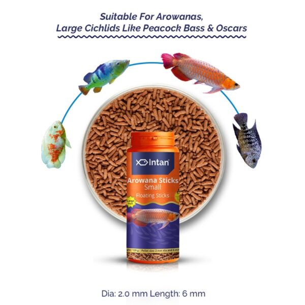 Intan Arowana Sticks Small