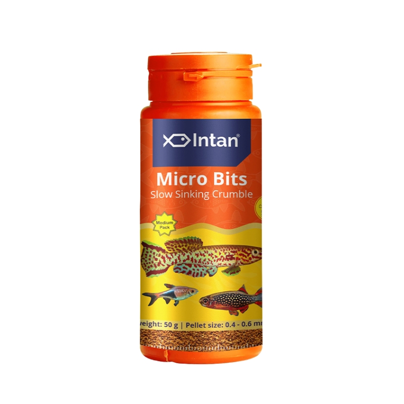 Intan Micro Bits 50