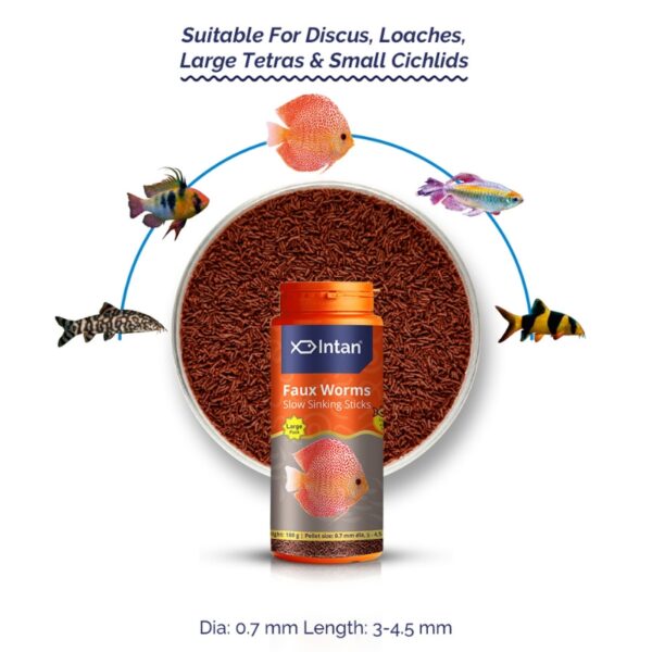 Intan Faux Worms