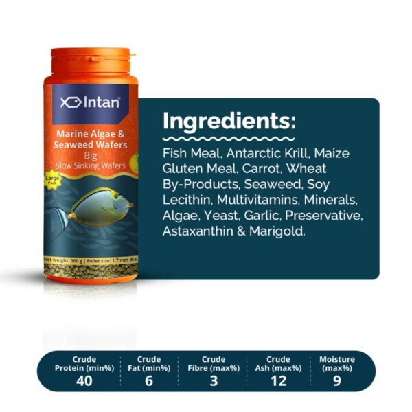 Marine Algae & Seaweed Wafers (Big)2