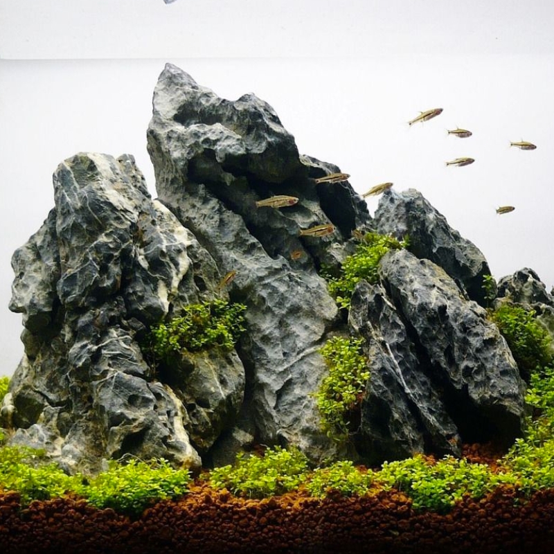 Seiryu 2