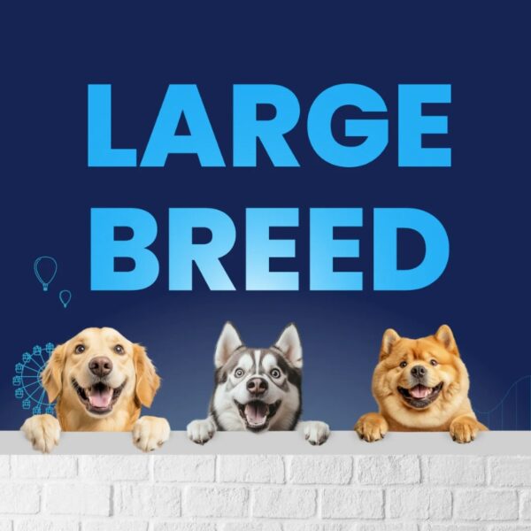 Carniwel Fresh Chicken- Dry Food for Large Breed - Adult 6