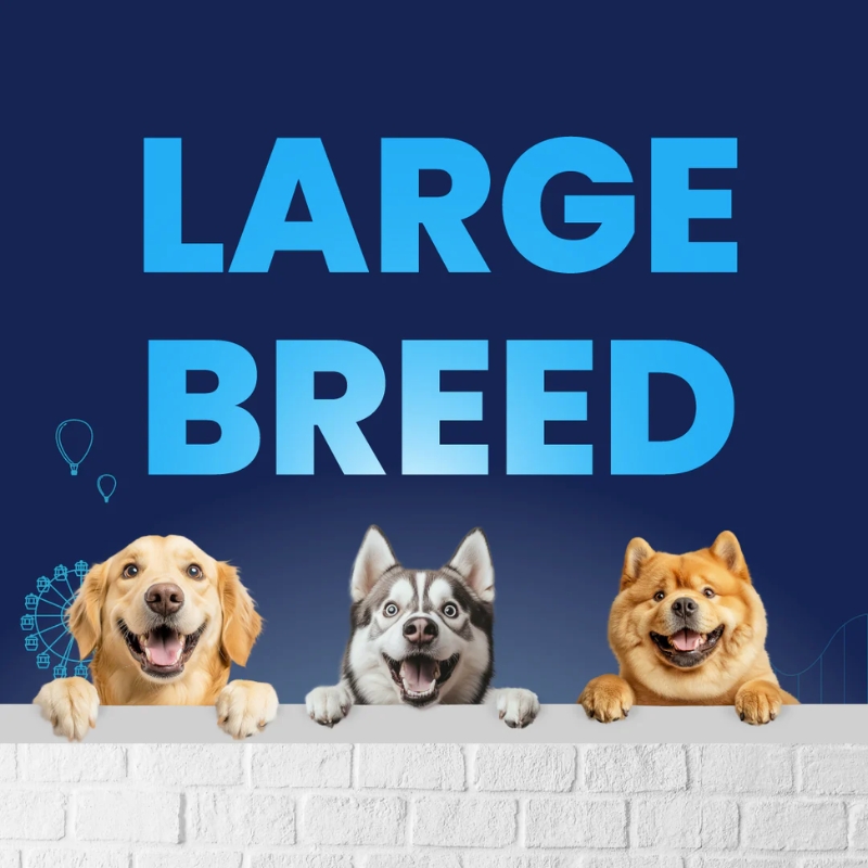 Carniwel Fresh Chicken- Dry Food for Large Breed - Adult 6