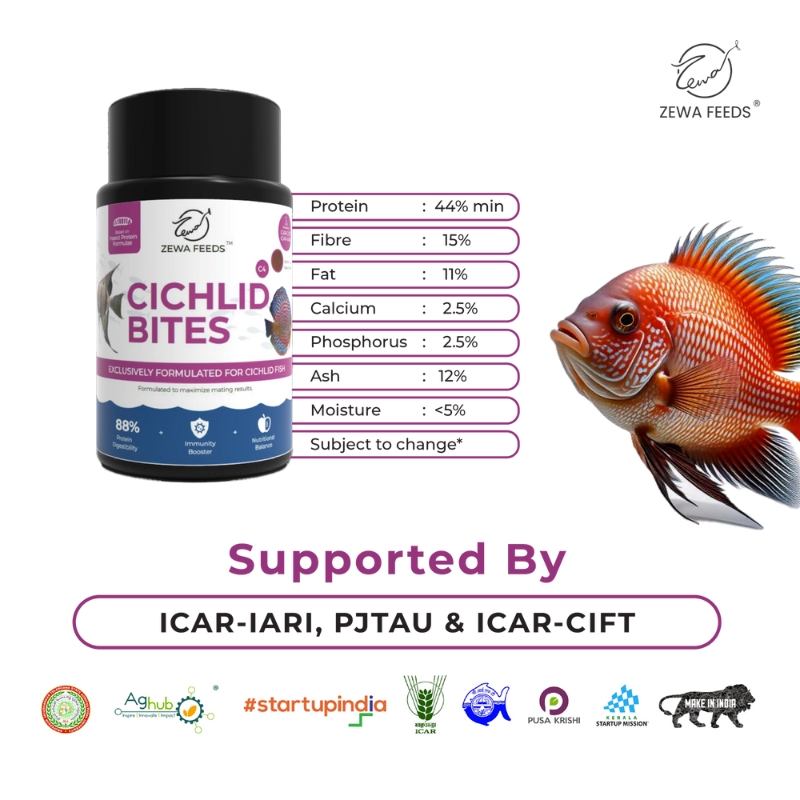 Zewa Cichlid Bites C4