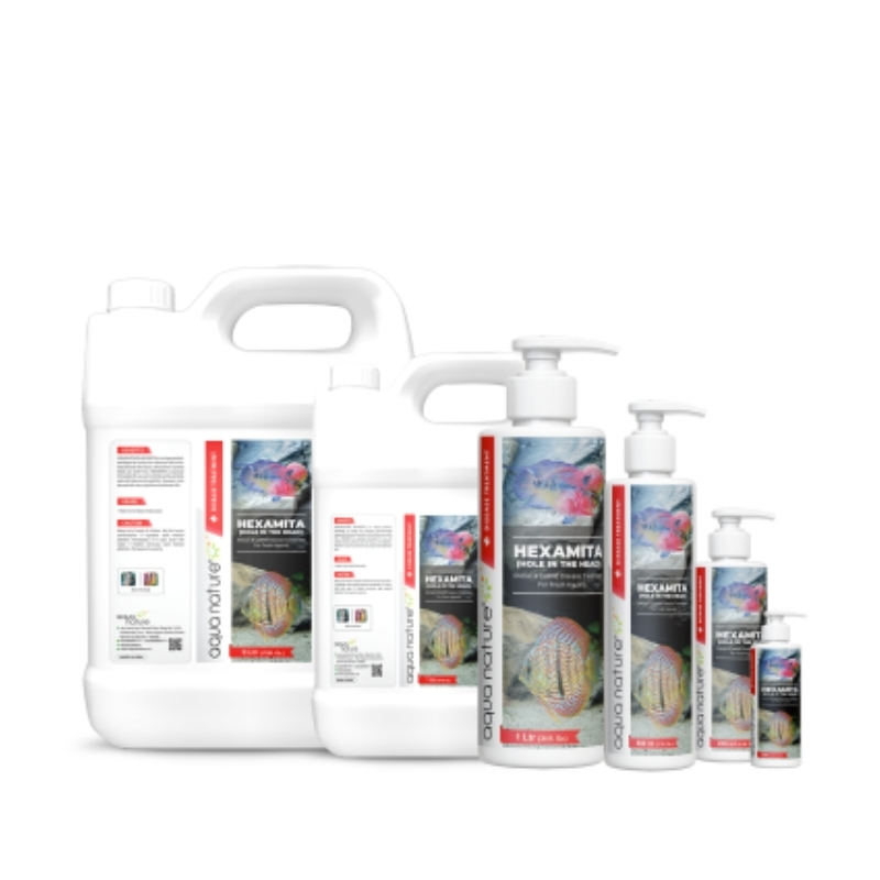 Aquanature Hexamita Hole in the Head (3)