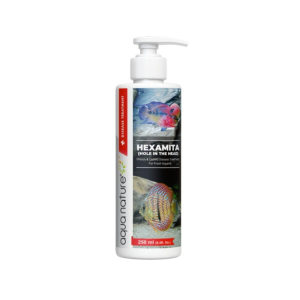 Aquanature Hexamita Hole in the Head