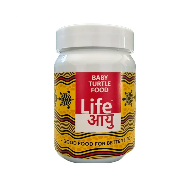 Life Aayu Baby Turtle