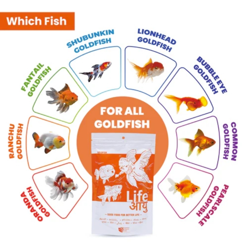 Life Aayu Gold Fish Food For Small Fish 8