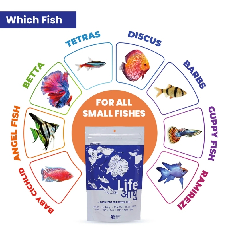 Life Aayu Neutral Food For Small Fish 6