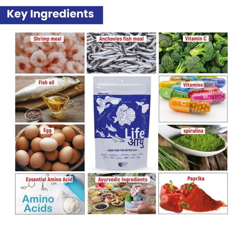 Life Aayu Neutral Food For Small Fish 7