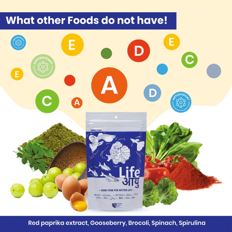 Life Aayu Neutral Food For Small Fish 9