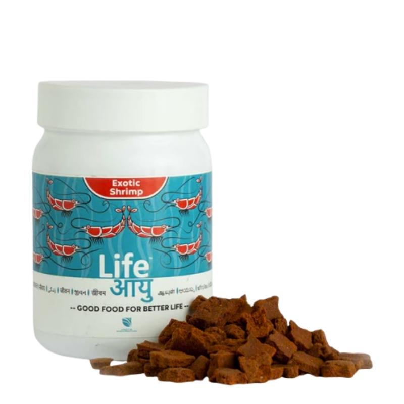 Life Aayu Shrimp Exotic 1