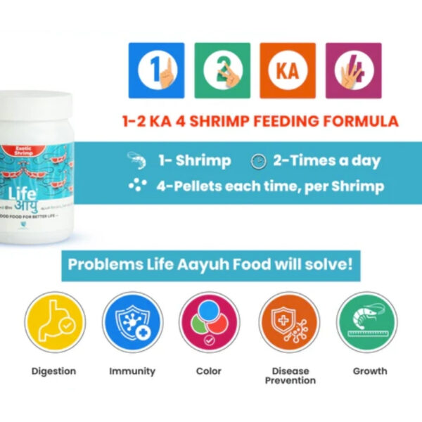 Life Aayu Shrimp Exotic 3