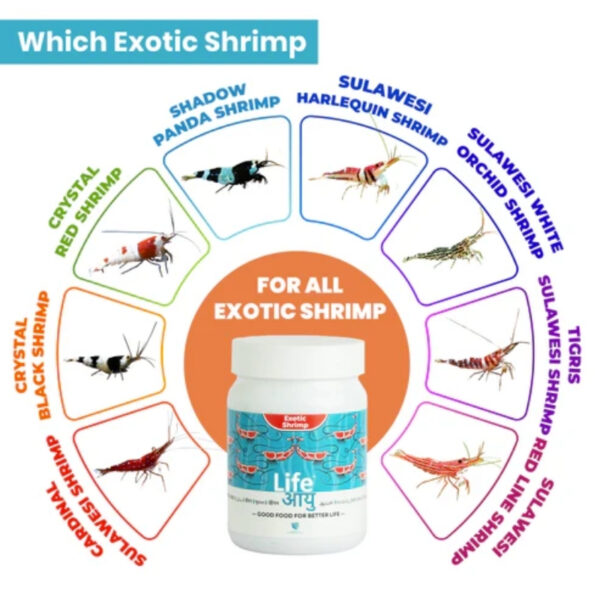 Life Aayu Shrimp Exotic 7