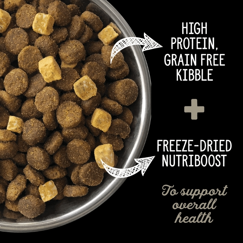 Nutrience SubZero Northern Lakes Dog Food 3