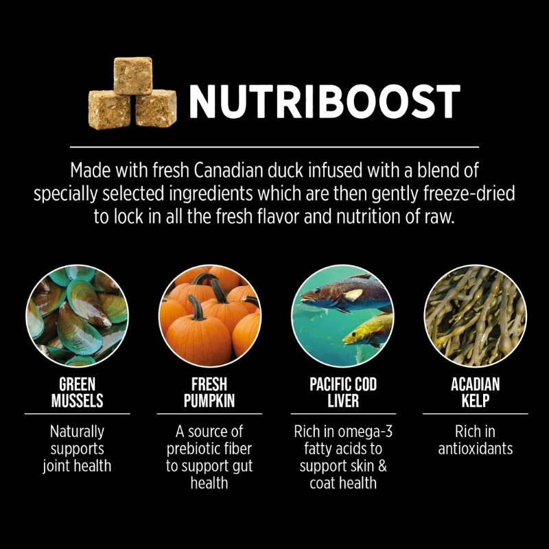 Nutrience SubZero Northern Lakes Dog Food 5