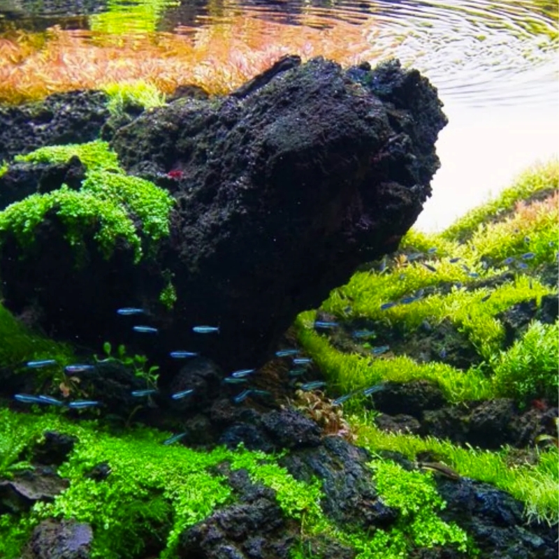 Magic Volcano Rock Black (3)